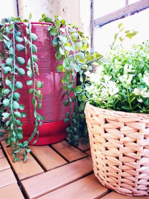 Sunny Flat 50 Meters From The Metro Apartment Milan Luaran gambar